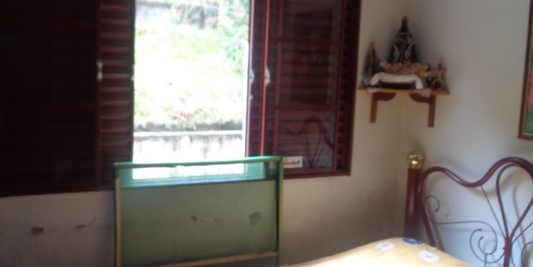 DSC02487