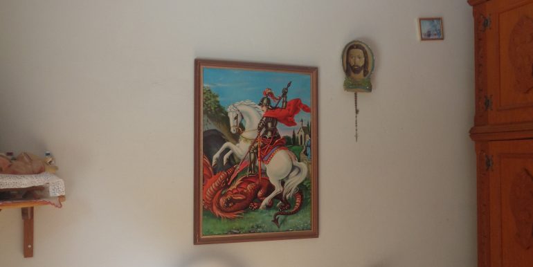 DSC02488