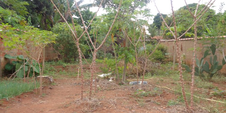 DSC02497