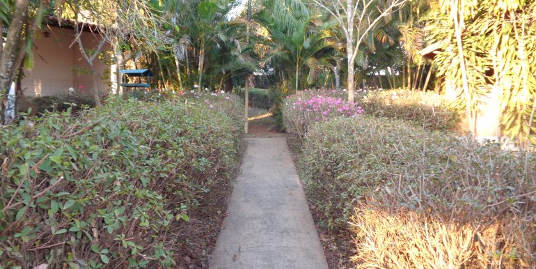 DSC01029