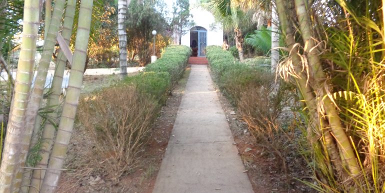 DSC01067
