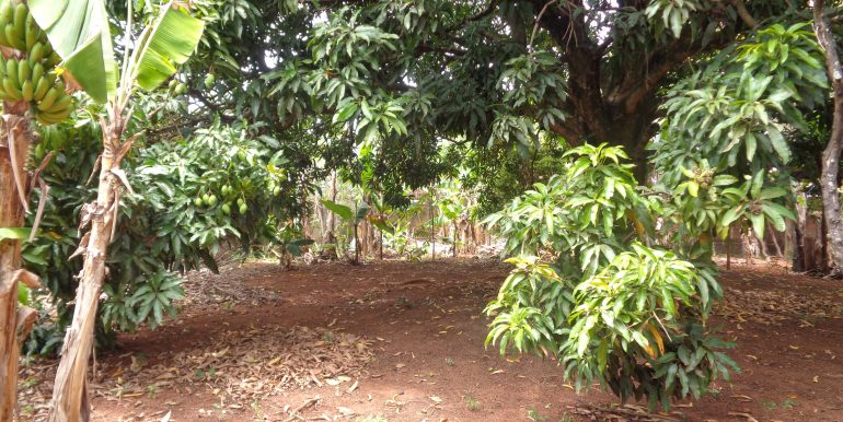 DSC01815