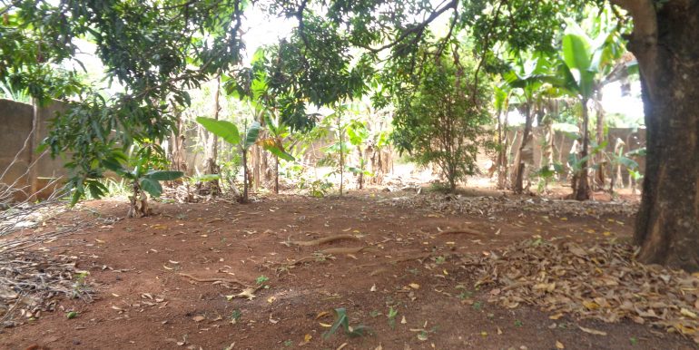 DSC01816