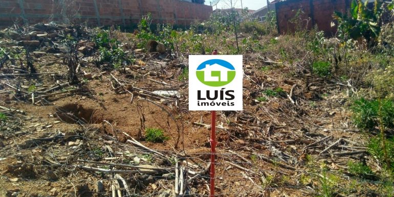 FOTO5