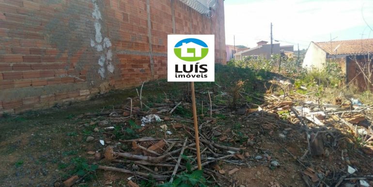 FOTO6